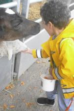 Reddish Vale Farm Trip