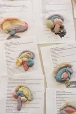 Playdough Brains