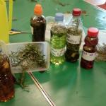 Making Potions Oct Half Term