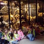 Natural History Gallery Summer 2017