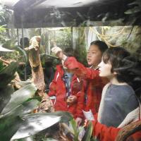 Vivarium At Manchester Museum